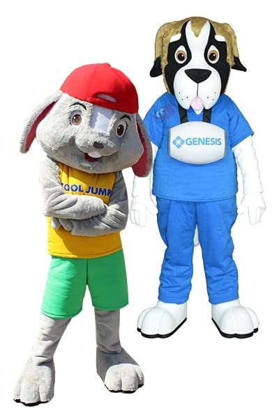 Questions to Ask When Researching Mascot Companies Near Me